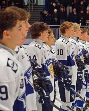 Image post by @leijonatfi on Instagram