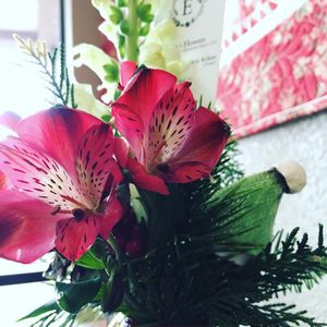 Image post by @sewdowntown on Instagram