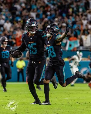 Image post by @losdolphins on Instagram