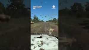 Video post by @accuweather on YouTube