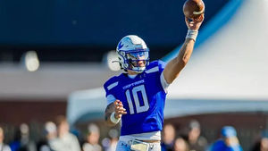 Image post by @Lions247 on Twitter