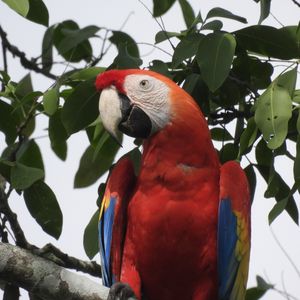 Image post by @fundacionloros on Instagram