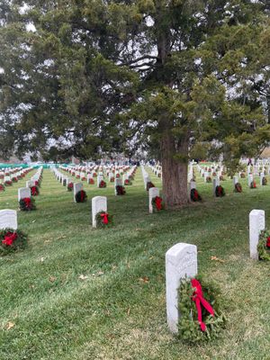 Image post by @Liz_Cheney on Twitter