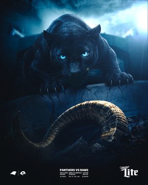 Image post by @panthers on Instagram