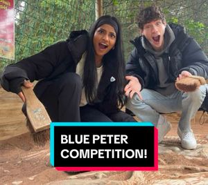 Video post by @cbbc on TikTok