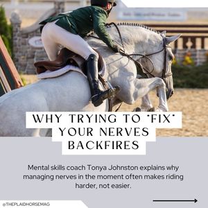 Image post by @theplaidhorsemag on Instagram