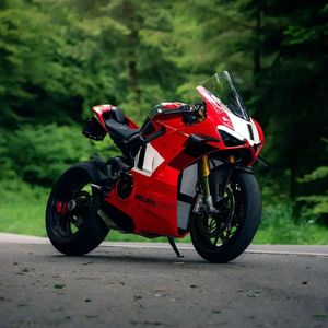 Image post by @panigalers on Instagram