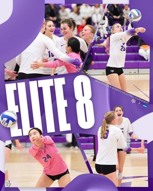 Image post by @nyuathletics on Instagram