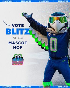 Image post by @blitztheseahawk on Instagram