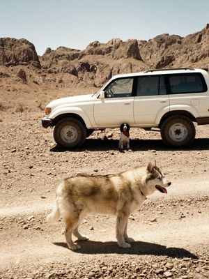 Image post by @lauraroze on Instagram