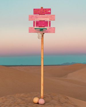 Image post by @veniceball on Instagram