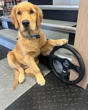 Image post by @MPI_INNOVATIONS on Twitter