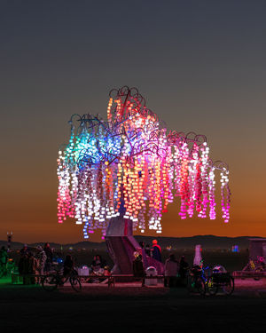 Image post by @burningman on Instagram