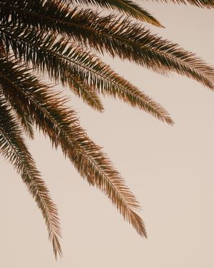 Image post by @unsplash on Instagram