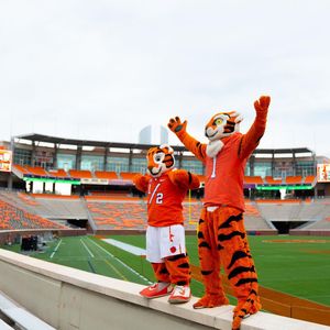 Image post by @thetiger_cu on Instagram