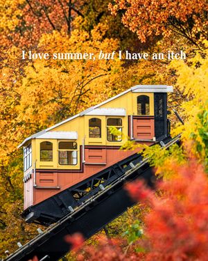 Image post by @visitpittsburgh on Instagram