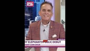 Video post by @dailyflashtv on YouTube