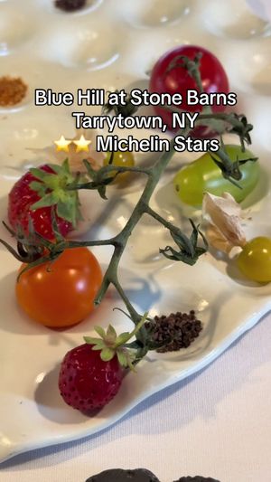 Video post by @highspeeddining on TikTok