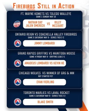 Image post by @FlintFirebirds on Facebook