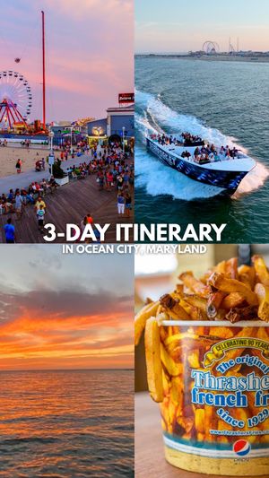 Video post by @searocketexperience on TikTok