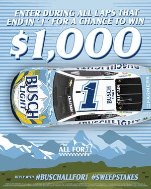Image post by @BuschBeer on Twitter
