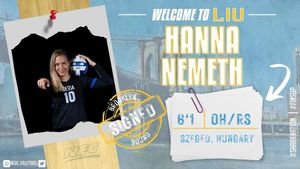 Image post by @liu_volleyball on Instagram