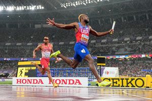 Image post by @tandfn on Instagram