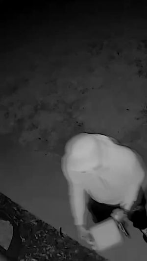 Video post by @fox6now on Instagram