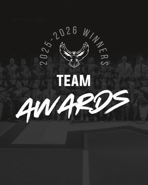 Image post by @rocknighthawks on Instagram