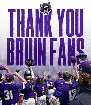 Image post by @bubruins_bsbl on Instagram