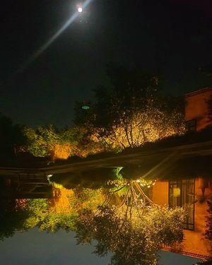 Image post by @tarikmounim on Instagram