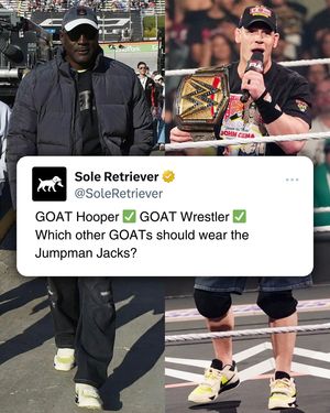 Image post by @soleretriever on Instagram