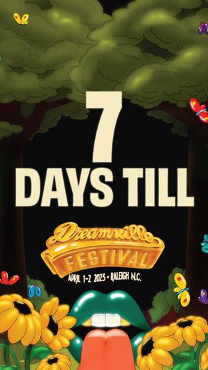 Image post by @Dreamvillefest on Twitter