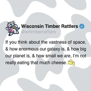 Image post by @witimberrattlers on Instagram