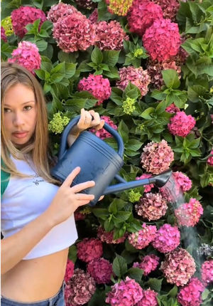 Video post by @miraclegro on TikTok