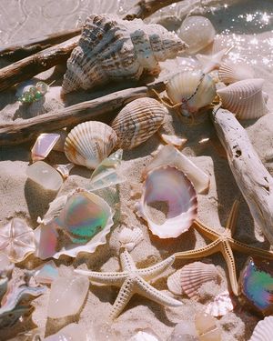 Image post by @ephemeralariel on Instagram