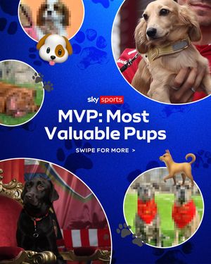 Video post by @skysports on TikTok