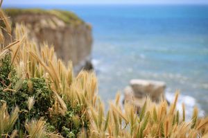 Image post by @connoronealdesign on Instagram