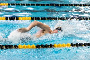 Image post by @MizzouSwimDive on Twitter