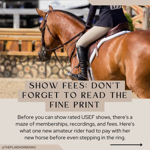 Image post by @theplaidhorsemag on Instagram