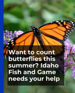 Image post by @boisestatepublicradio on Instagram