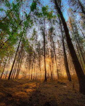 Image post by @pri1esh on Instagram