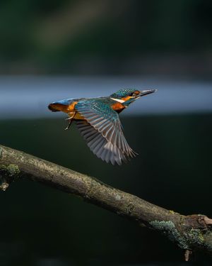 Image post by @sony.deutschland.at on Instagram