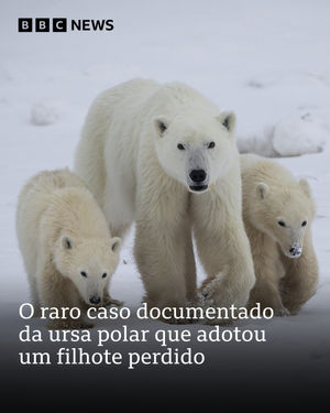 Image post by @bbcbrasil on Instagram