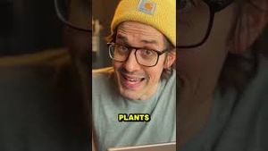 Video post by @bodastudios on YouTube