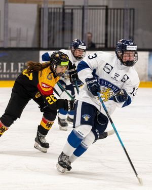 Image post by @leijonatfi on Instagram