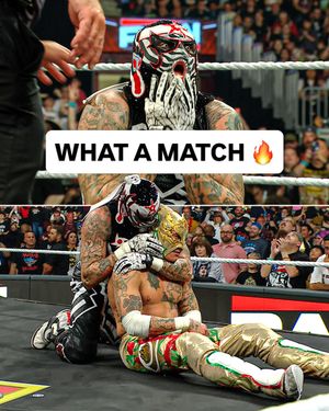 Image post by @wwe_on_netflix on Instagram