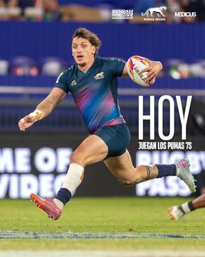 Image post by @lospumas7s on Instagram