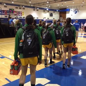 Image post by @wsuvball on Instagram