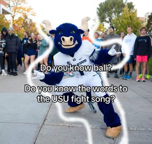 Image post by @usuaggielife on Instagram